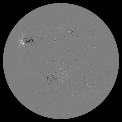 Solar Magnetic Fields