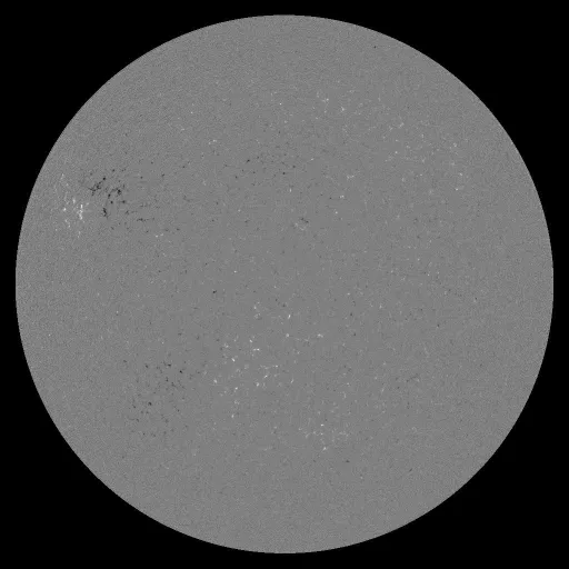 Solar Magnetic Fields
