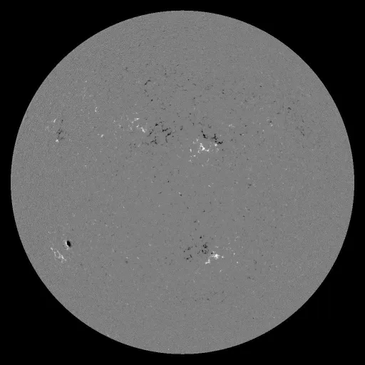 Solar Magnetic Fields