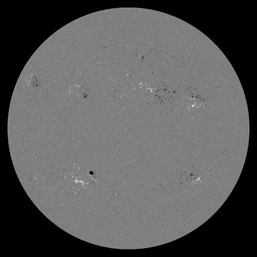 Solar Magnetic Fields