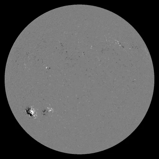 Solar Magnetic Fields