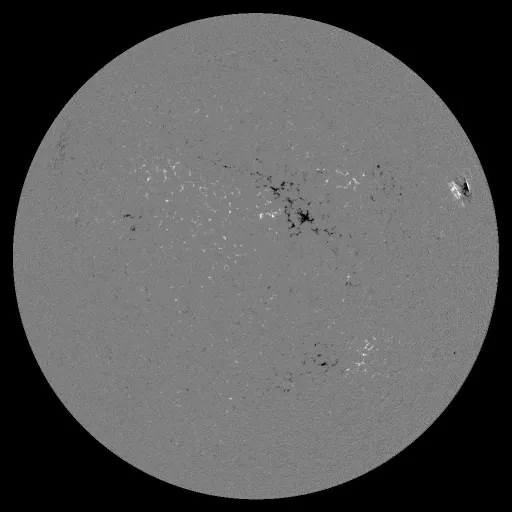 Solar Magnetic Fields