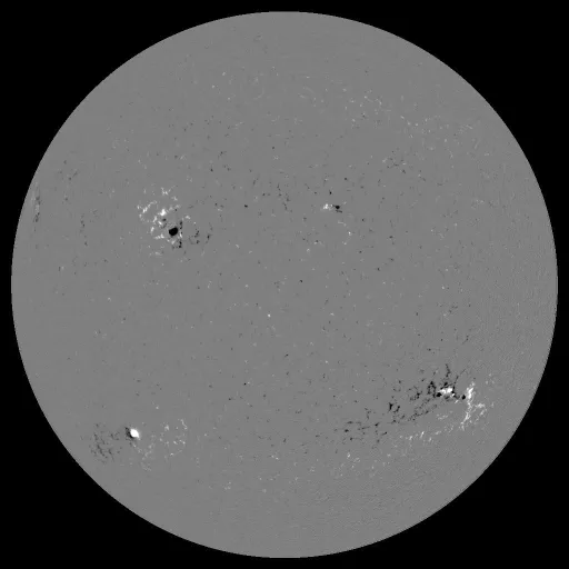 Solar Magnetic Fields