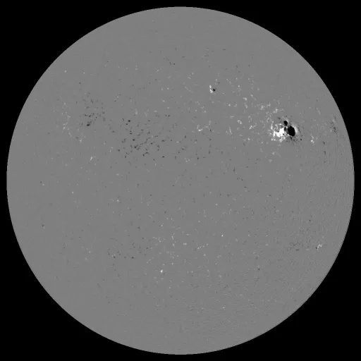 Solar Magnetic Fields