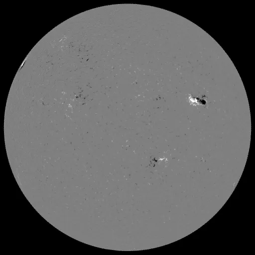 Solar Magnetic Fields