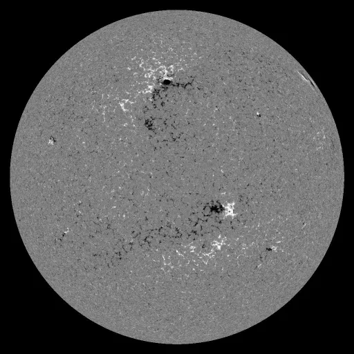 Solar Magnetic Fields