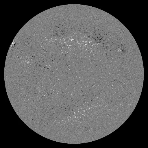 Solar Magnetic Fields