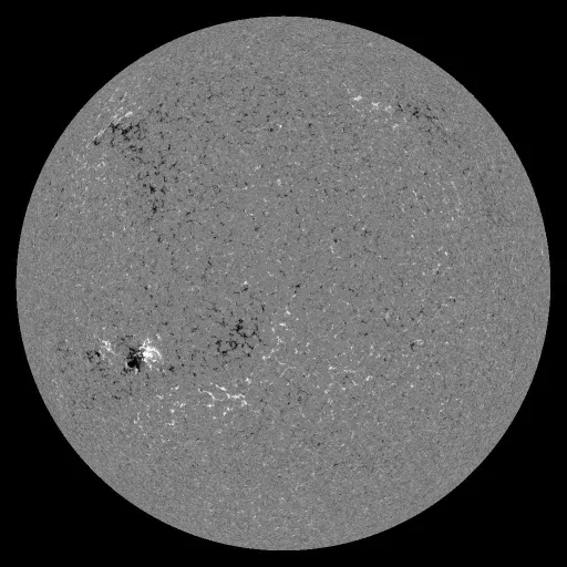 Solar Magnetic Fields