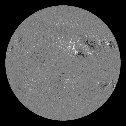 Solar Magnetic Fields