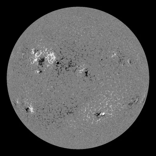 Solar Magnetic Fields