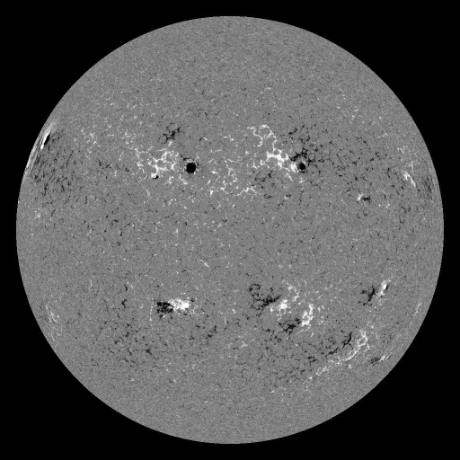 Solar Magnetic Fields