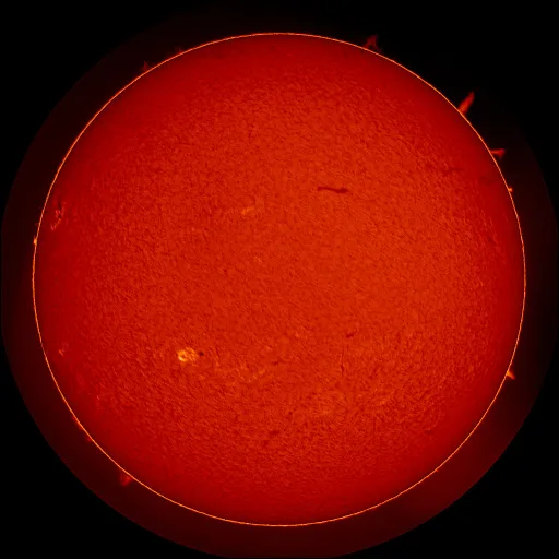 Solar Chromosphere