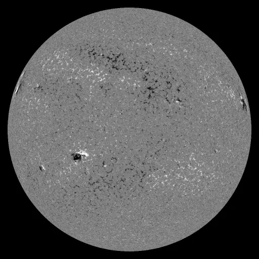 Solar Magnetic Fields