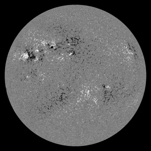 Solar Magnetic Fields