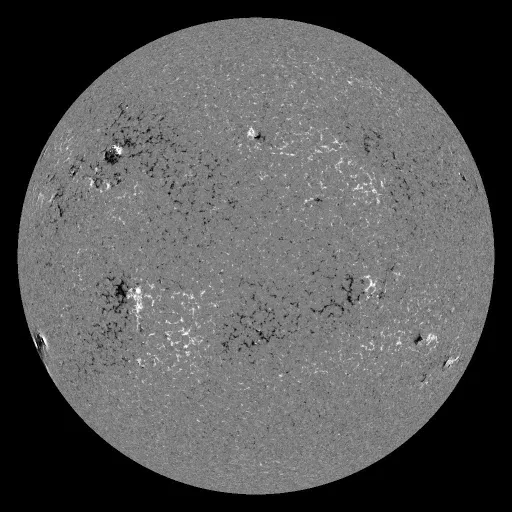 Solar Magnetic Fields