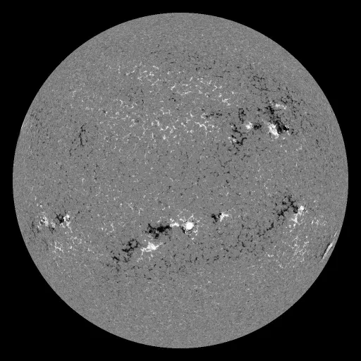 Solar Magnetic Fields