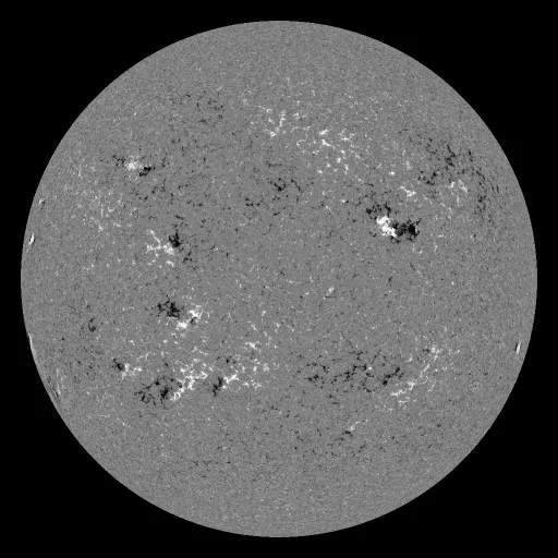 Solar Magnetic Fields