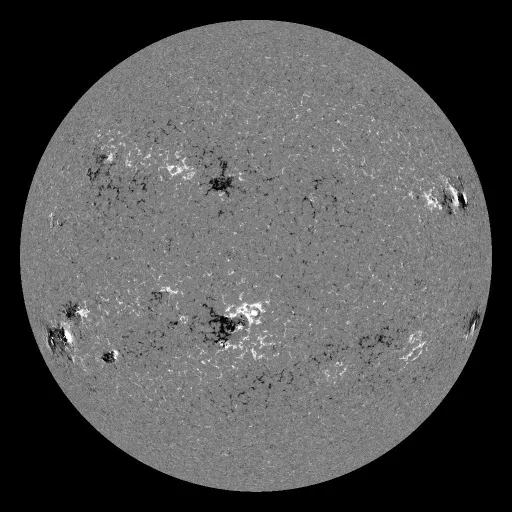 Solar Magnetic Fields