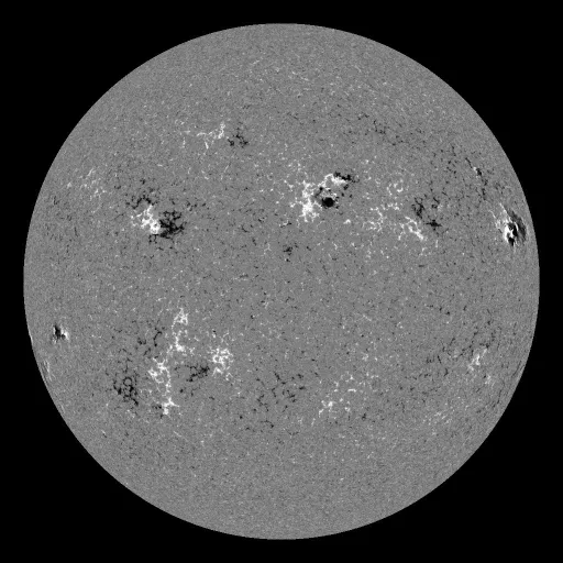 Solar Magnetic Fields