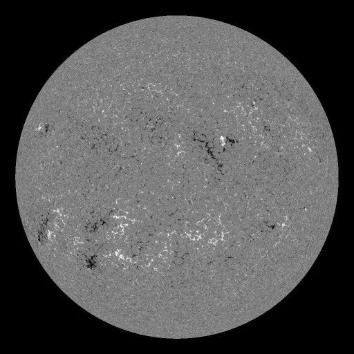 Solar Magnetic Fields