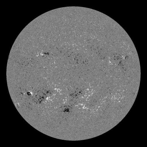 Solar Magnetic Fields