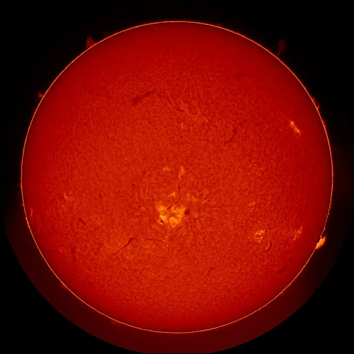 Solar Chromosphere