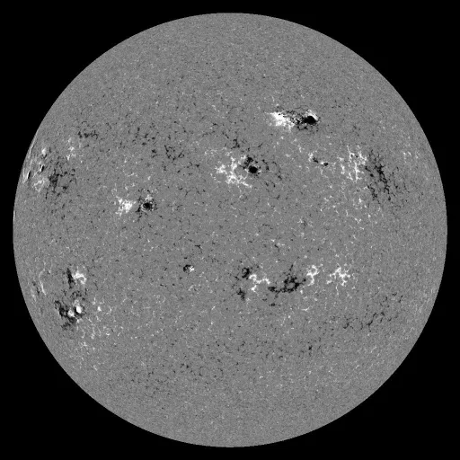 Solar Magnetic Fields