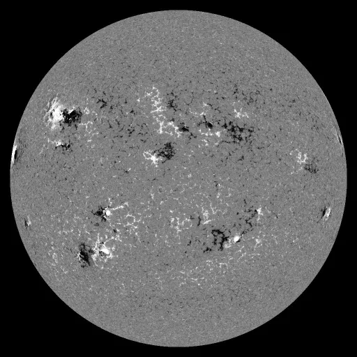 Solar Magnetic Fields