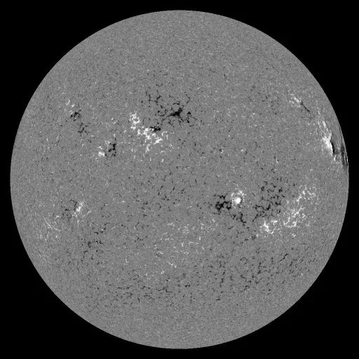 Solar Magnetic Fields