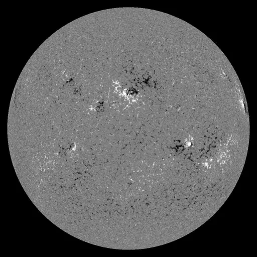 Solar Magnetic Fields