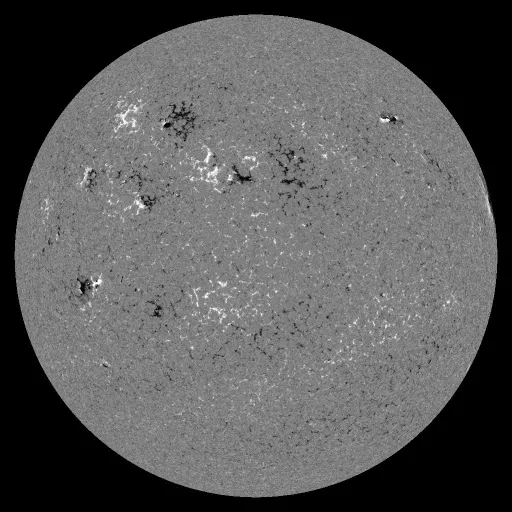 Solar Magnetic Fields