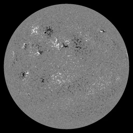 Solar Magnetic Fields