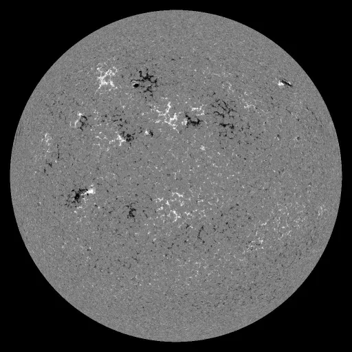 Solar Magnetic Fields