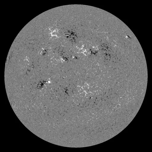 Solar Magnetic Fields