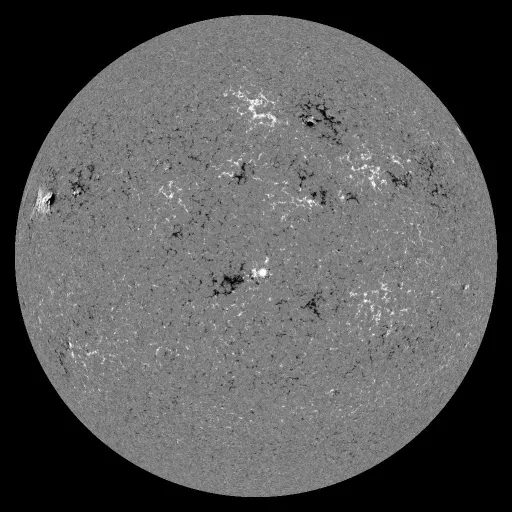Solar Magnetic Fields