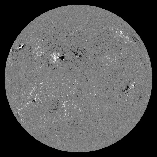 Solar Magnetic Fields