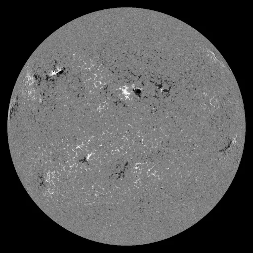 Solar Magnetic Fields