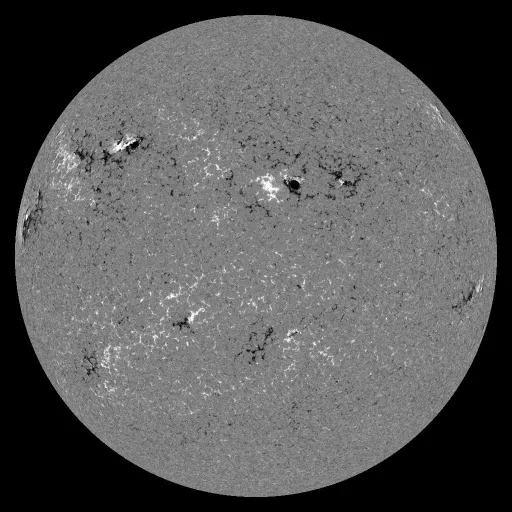 Solar Magnetic Fields