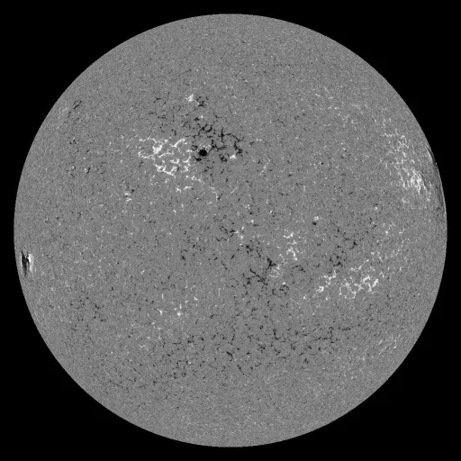 Solar Magnetic Fields