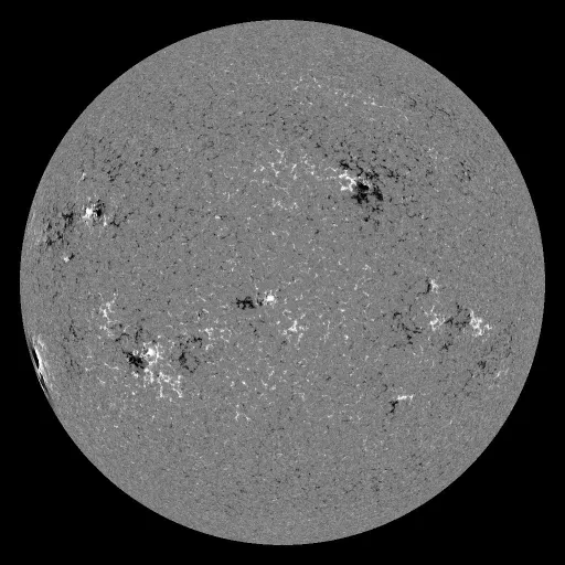 Solar Magnetic Fields