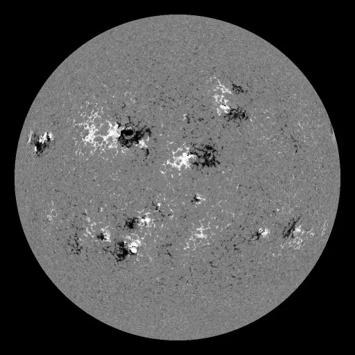 Solar Magnetic Fields