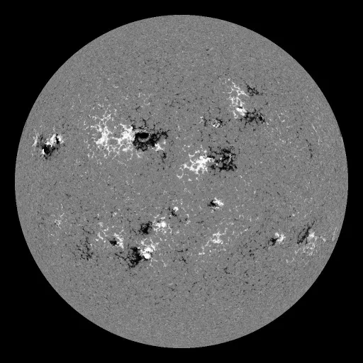 Solar Magnetic Fields