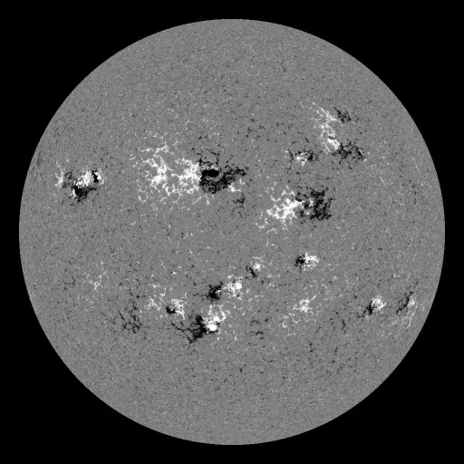 Solar Magnetic Fields