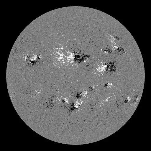 Solar Magnetic Fields