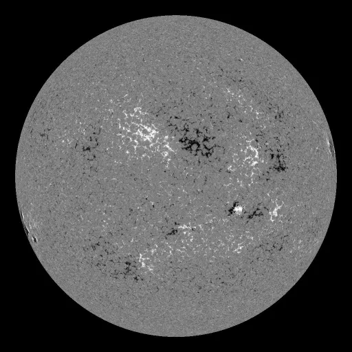 Solar Magnetic Fields