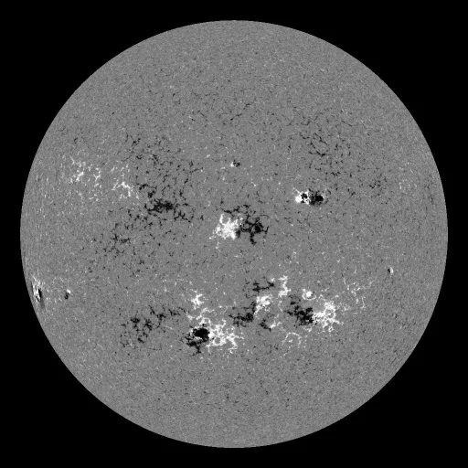 Solar Magnetic Fields