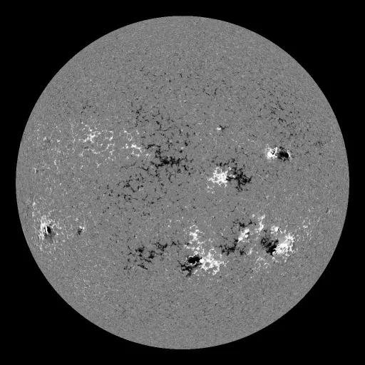 Solar Magnetic Fields