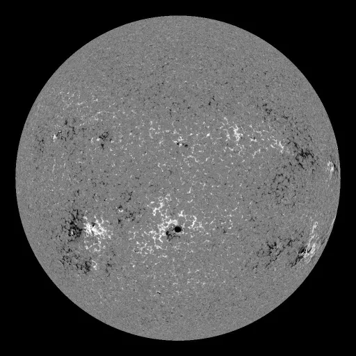 Solar Magnetic Fields