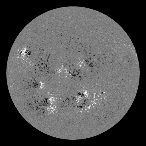 Solar Magnetic Fields
