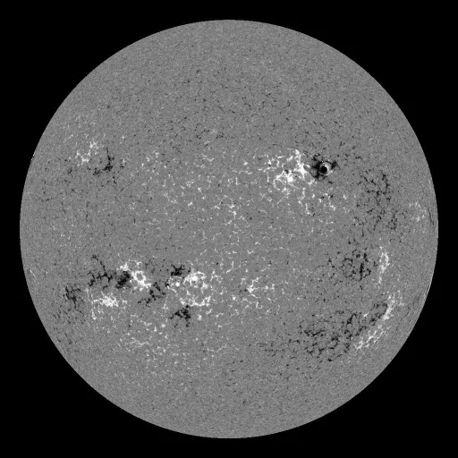 Solar Magnetic Fields